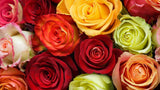 12 Assorted Roses