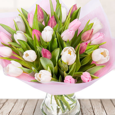 25 Pink and White Tulips