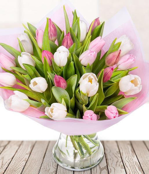 25 Pink and White Tulips