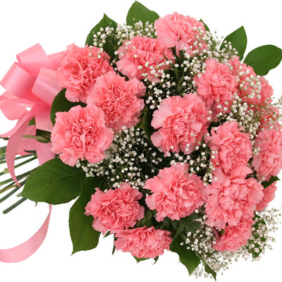 18 Pink Carnations Bouquet