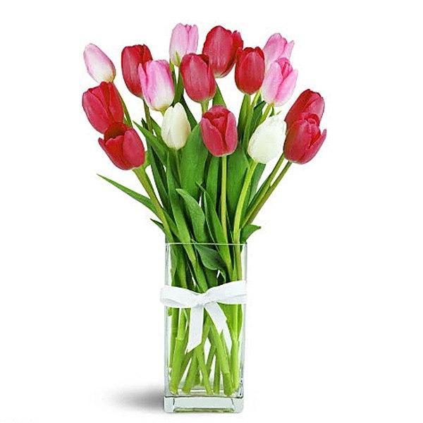 15 MIXED TULIPS