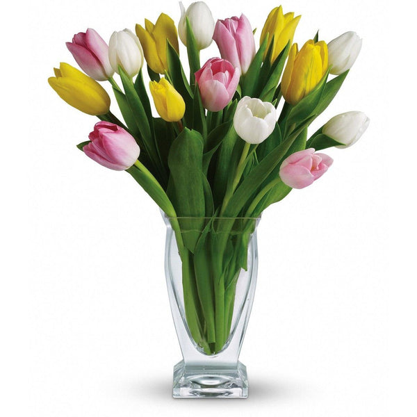 15 Multicolour Tulips