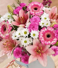 Gerberas